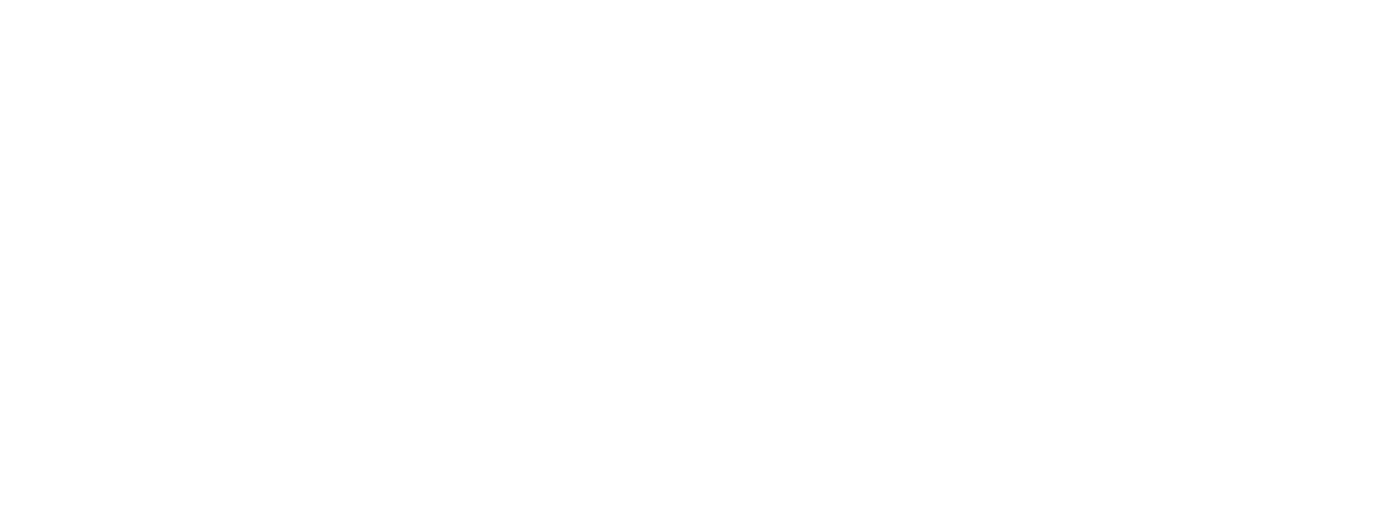 QSI Logo colored all white